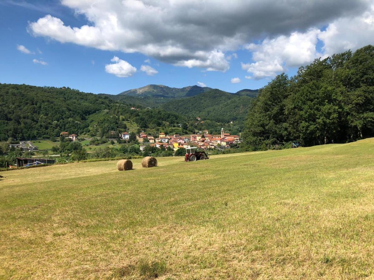 瓦雷塞利古雷Le Pianelle别墅 外观 照片