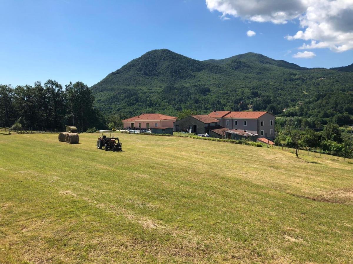 瓦雷塞利古雷Le Pianelle别墅 外观 照片