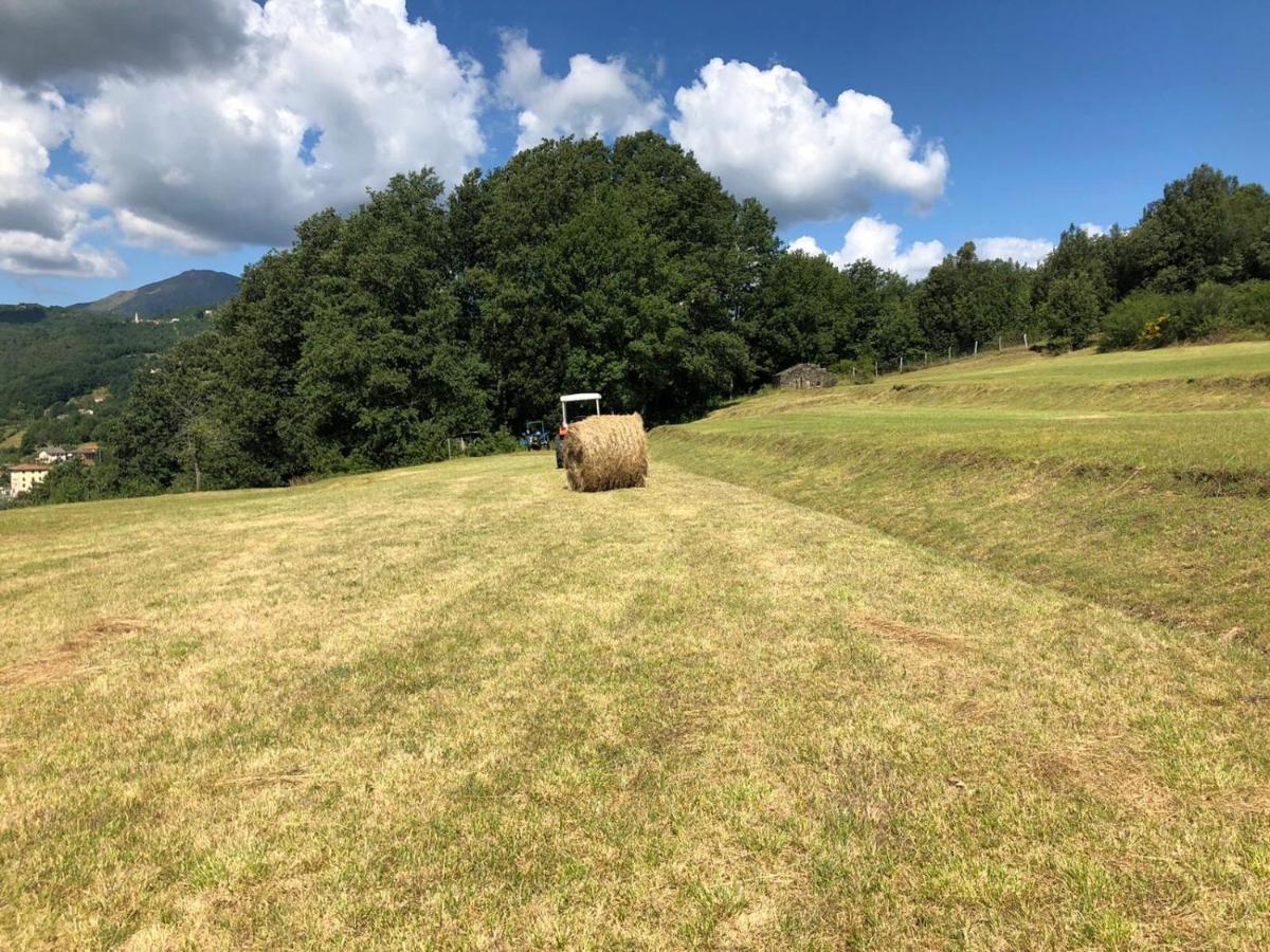瓦雷塞利古雷Le Pianelle别墅 外观 照片